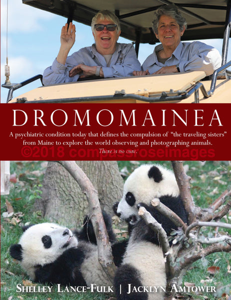 Dromomainea Book