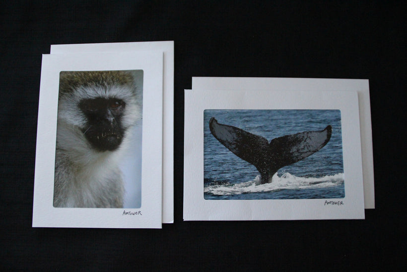 Greeting Cards and Matted Prints