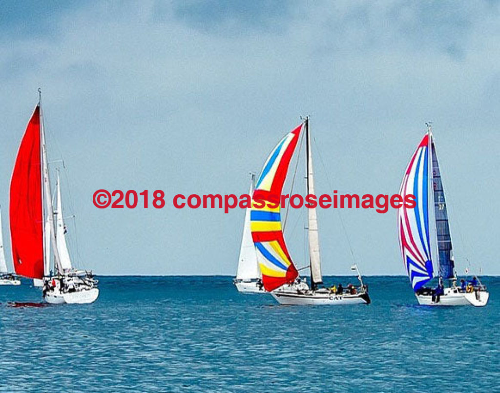 Sailboat Greeting Card 8X10 Matted Print (5X7 Photo) 11X14 (8X10