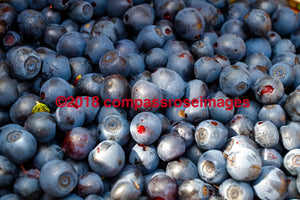 Blueberries-Metal