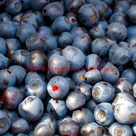 Blueberries-Tiles