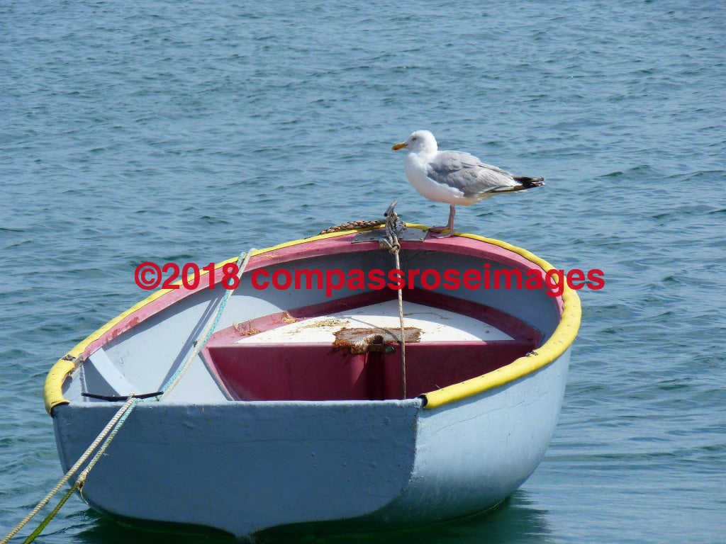 Rowboat Greeting Card 8X10 Matted Print (5X7 Photo) 11X14 (8X10