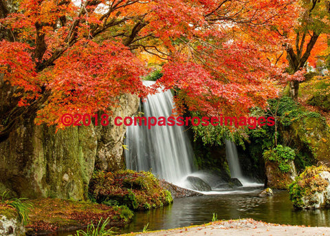 Waterfall Greeting Card 8X10 Matted Print (5X7 Photo) 11X14 (8X10