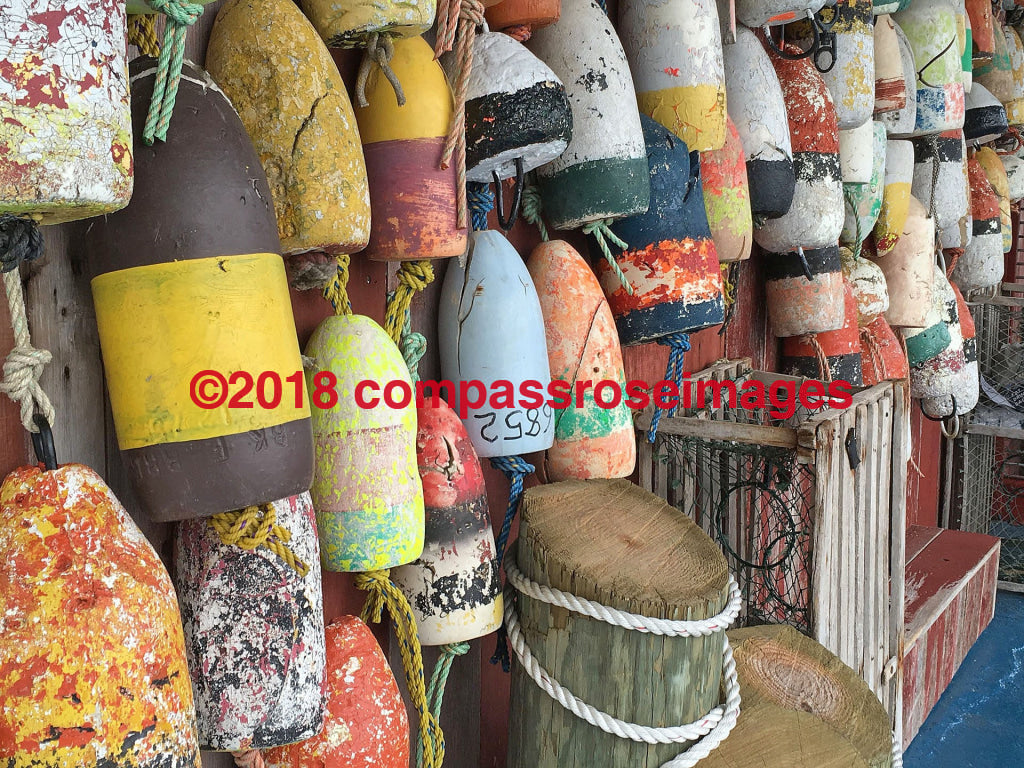 Lobster Buoys 1 Greeting Card 8X10 Matted Print (5X7 Photo) 11X14 (8X10