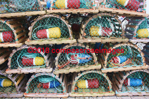 Lobster Traps Greeting Card 8X10 Matted Print (5X7 Photo) 11X14 (8X10