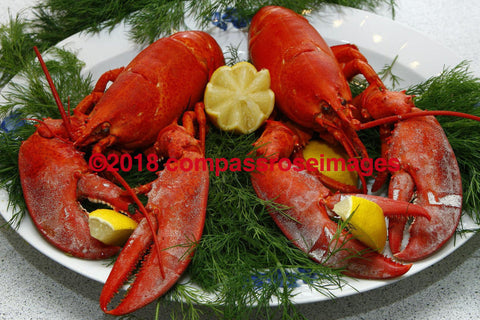 Lobster Plate Greeting Card 8X10 Matted Print (5X7 Photo) 11X14 (8X10