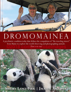 Dromomainea Book