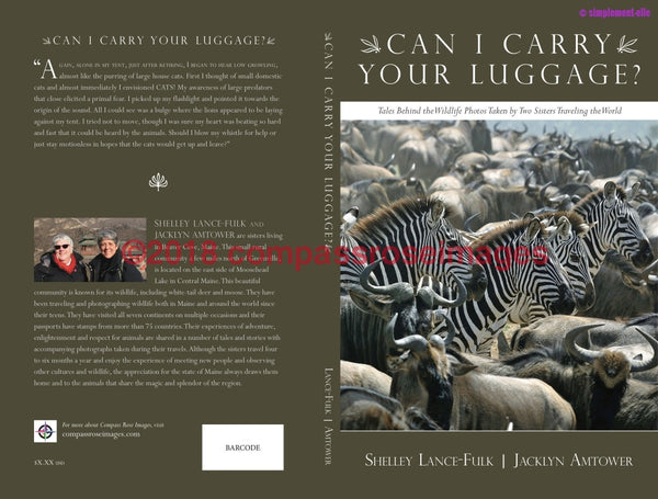 Can I Carry Your Luggage Book
