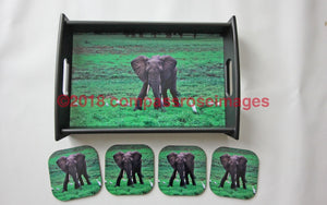 Elephant Baby Tray and Coasters 28