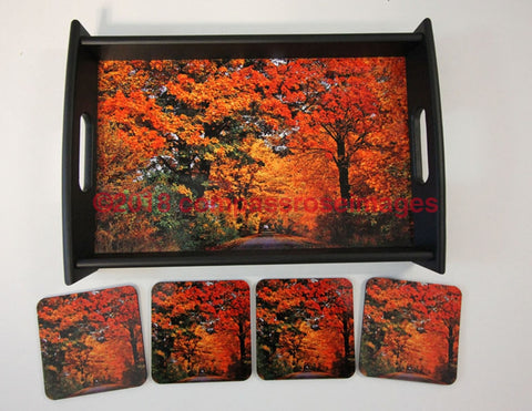 Fall Colors Tray and Coasters
