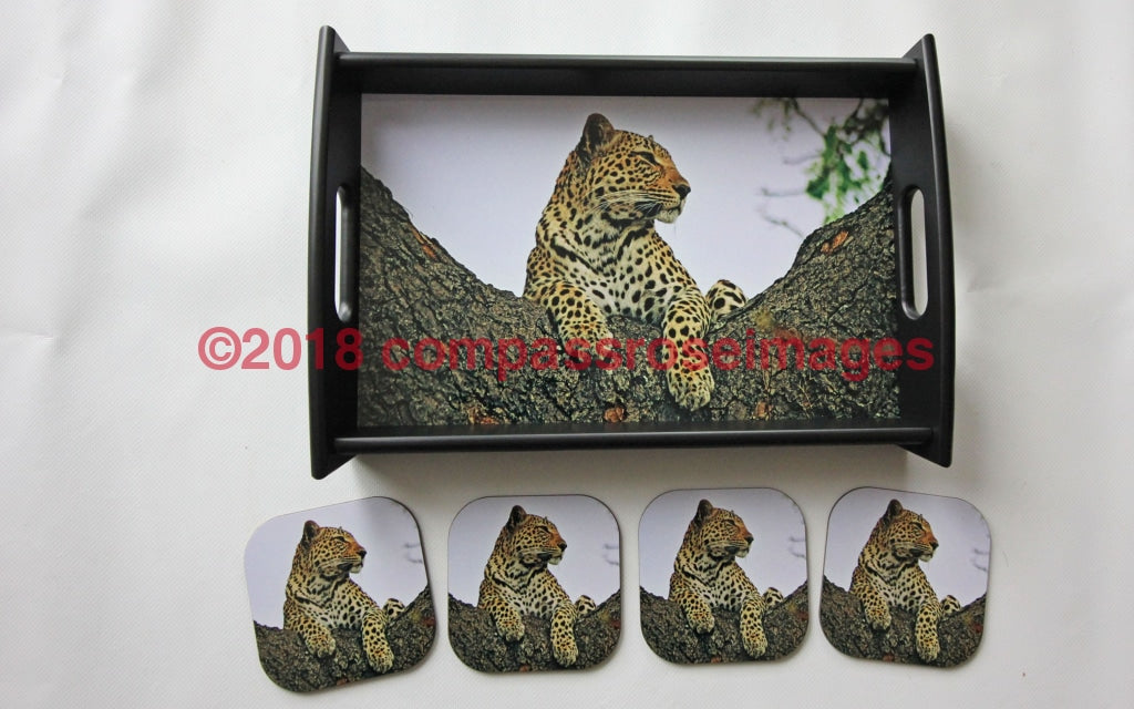 Leopard 2 Tray and Coasters 30