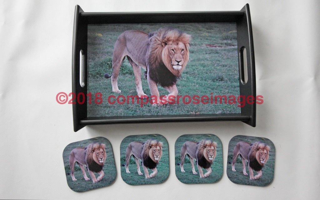 Black Maned Lion Tray and Coasters 29
