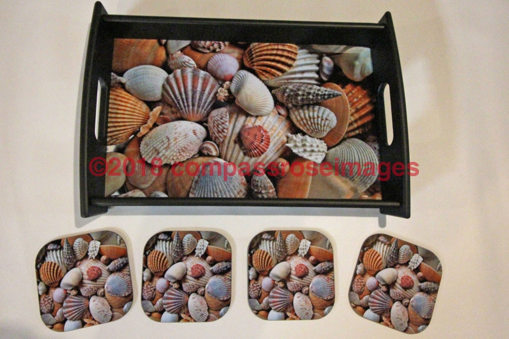 Seashell Tray and Coasters 14