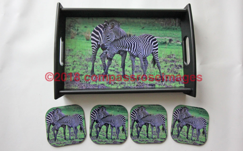 Zebra Tray And Coasters 48 Small 8’X13’
