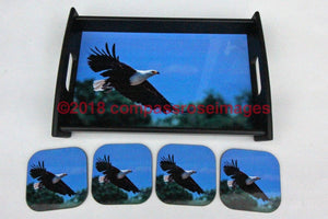 Eagle FlyingTray and Coasters 19