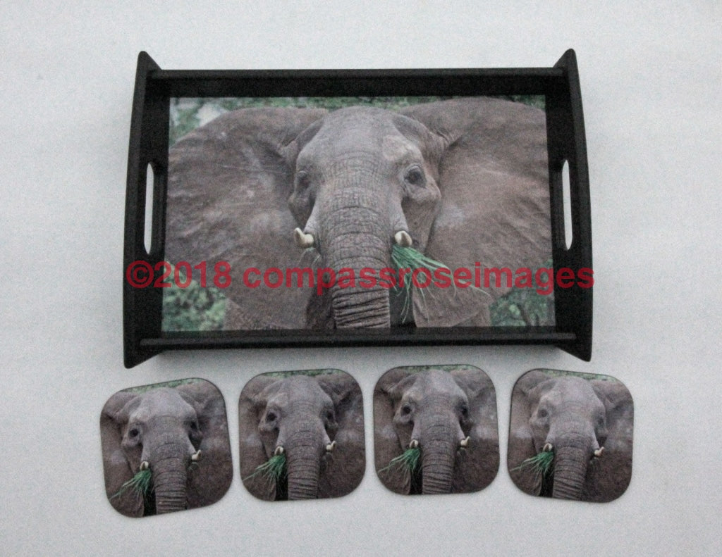 Elephant Head Tray and Coasters 17