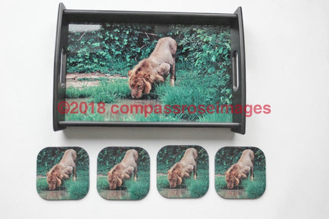 Lion Drinking Tray and Coasters 34