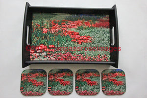 Field of Flowers Tray and Coasters 13